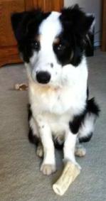 Bolt black tri male